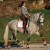 16C-DP-HB-C-Sixteen-Cypress-Classic-Dressage-Pad-White-Cognac-Botero.jpg