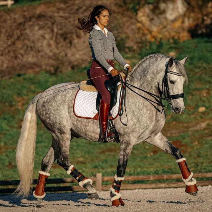 16C-DP-HB-C-Sixteen-Cypress-Classic-Dressage-Pad-White-Cognac-Botero.jpg