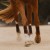 16C-MSB-C-sixteen-cypress-mesh-tendon-boot-cognac3.jpg