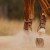 16C-MSB-C-sixteen-cypress-mesh-tendon-boot-cognac1.jpg
