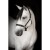 24286_QT7B9543_r.jpg