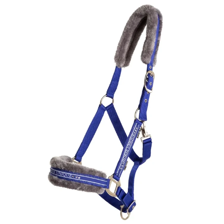 horseunique_QT7B3349.webp