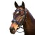 snaffle-cavesson.jpg