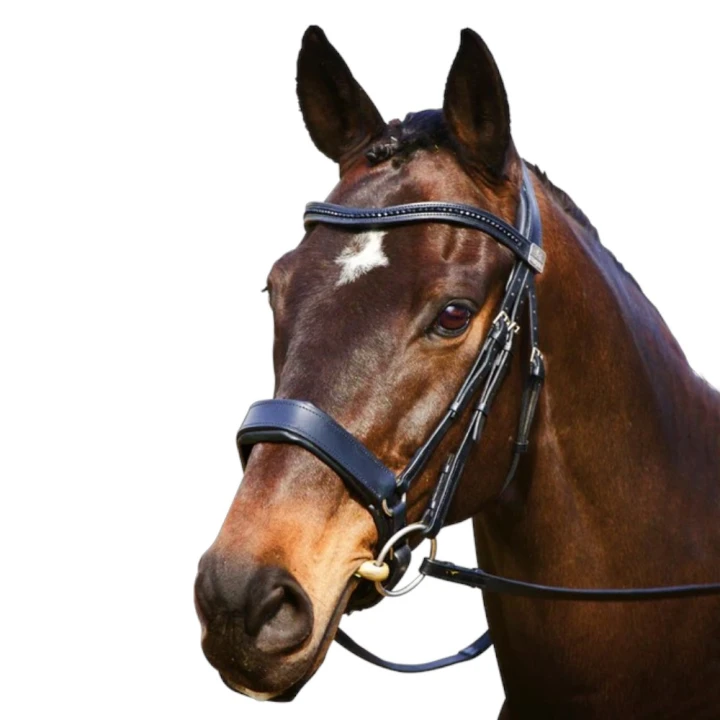 snaffle-cavesson.jpg