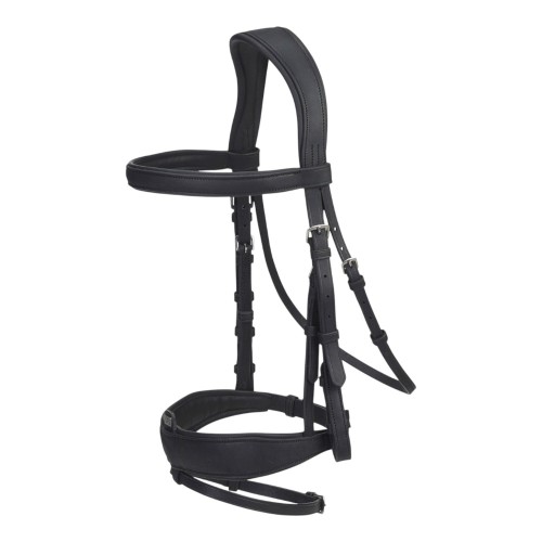 GFS COMBI DRESSAGE BRIDLE_1778357549302 (1).jpg