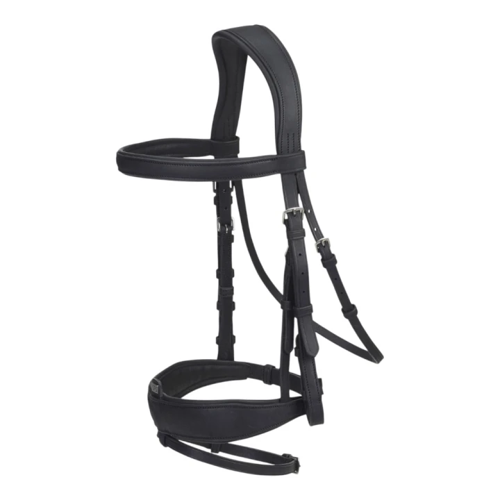 GFS COMBI DRESSAGE BRIDLE_1778357549302 (1).jpg