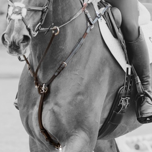 GFS VERSACLIP  BREASTPLATE_1778357780395.jpg