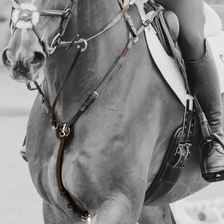 GFS VERSACLIP  BREASTPLATE_1778357780395.jpg