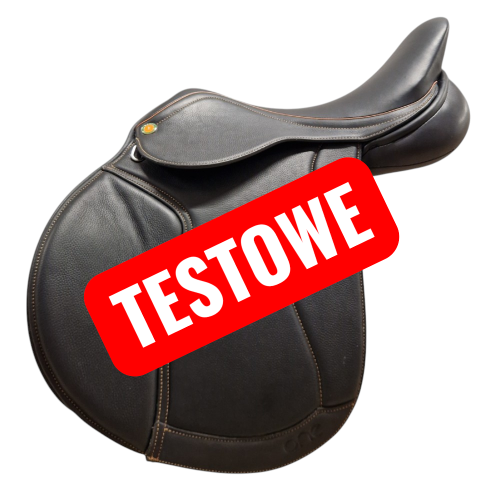 12859 (1).png