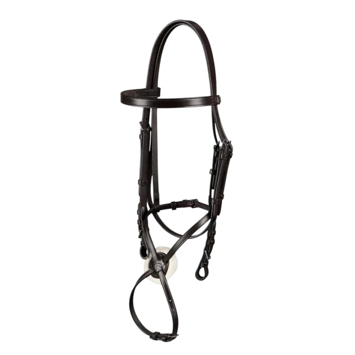 exercise-racing-bridle-with-grackle-dark-havana-1_1600x.jpg