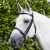 Exercise_Racing-Bridle-with-Plain-Cavesson-Noseband-Black-1_1600x.png