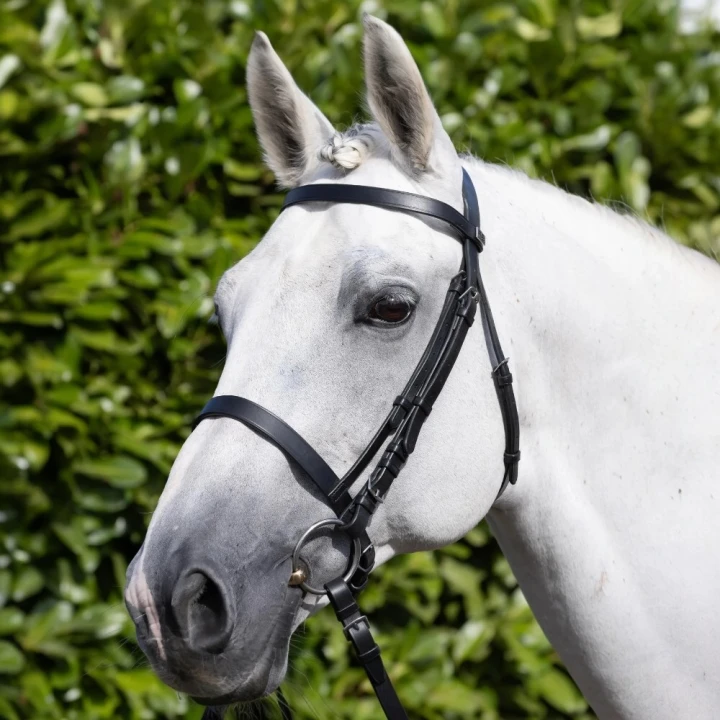 Exercise_Racing-Bridle-with-Plain-Cavesson-Noseband-Black-1_1600x.png