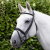 Pro-Elevator-Bridle-Black-1_1600x.png