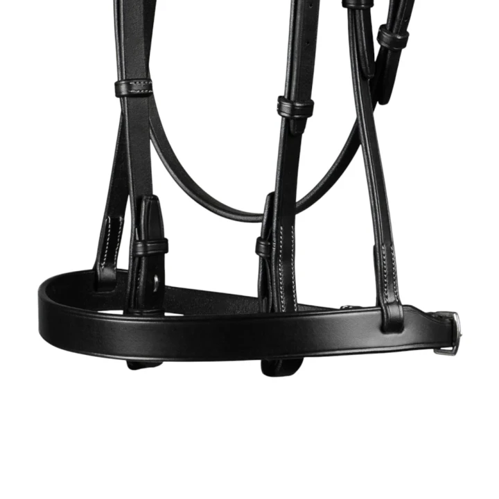 Hunter-Bridle-Black-5_1600x.jpg