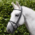 Raised-Jumping-Noseband-Black-6_1600x.png