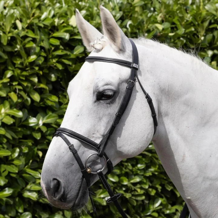 Raised-Jumping-Noseband-Black-6_1600x.png
