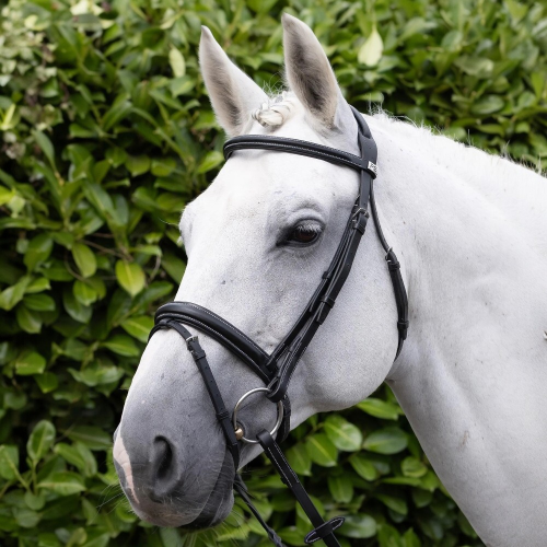 Padded-Noseband-for-Pro-Elevator-Bridle-black-6_1600x.png