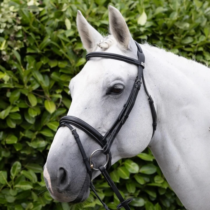 Padded-Noseband-for-Pro-Elevator-Bridle-black-6_1600x.png