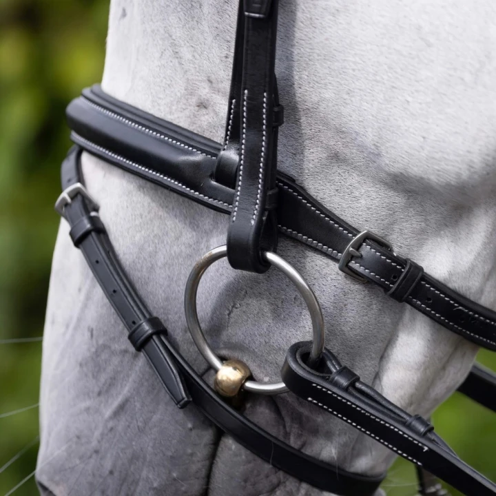 Padded-Noseband-for-Pro-Elevator-Bridle-black-2_1600x.png