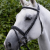 Pro-Elevator-Bridle-Headpiece-Black-6_1ac89e93-6f1f-4aa6-a9d5-c06d0821dbe6_1600x.png