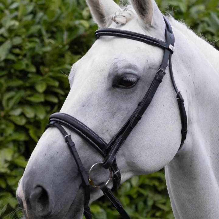 Pro-Elevator-Bridle-Headpiece-Black-6_1ac89e93-6f1f-4aa6-a9d5-c06d0821dbe6_1600x.png
