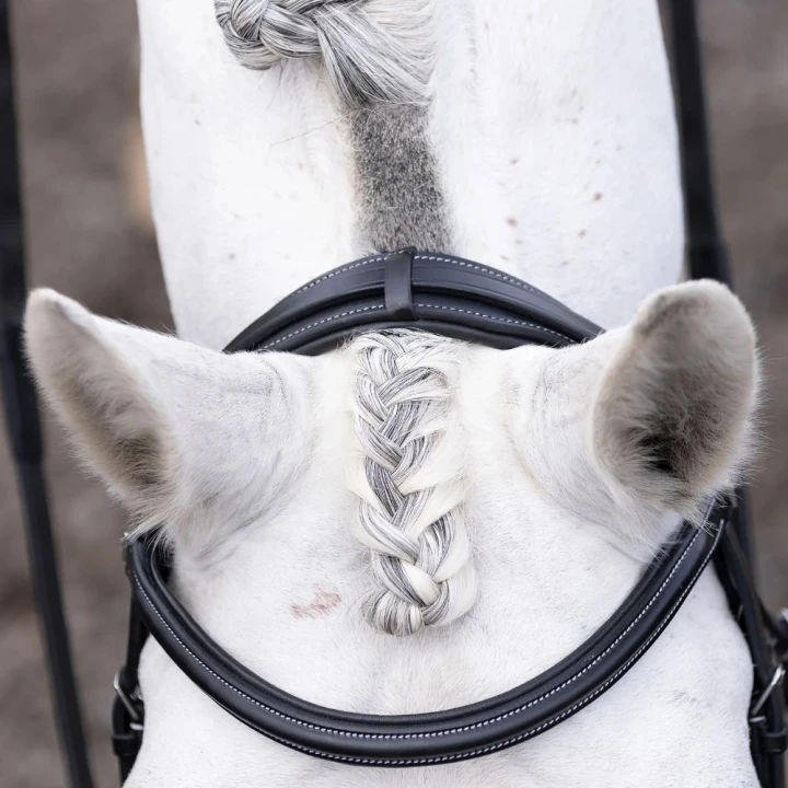 Pro-Elevator-bridle-headpiece-black-2_02e2eecb-8e03-433d-9990-bb13d999c80f_1600x.png