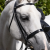 Cheek-Pieces-for-Hunter-Bridle-black-2_1600x.png