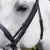 Cheek-Pieces-for-Exercise_Racing-Bridle-Black-2_1600x.png