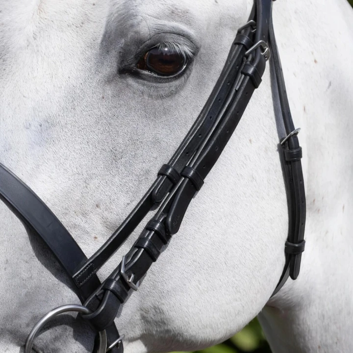 Cheek-Pieces-for-Exercise_Racing-Bridle-Black-2_1600x.png