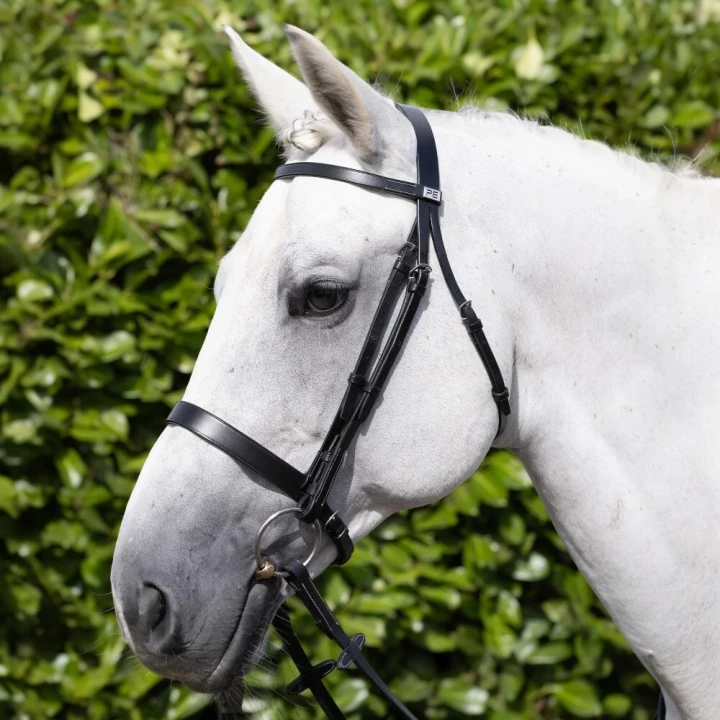 Plain-Browband-for-Hunter-Bridle-black-2_1600x.png