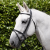 Raised-Browband-for-Raised-jumping-bridle-black-2_1600x.png