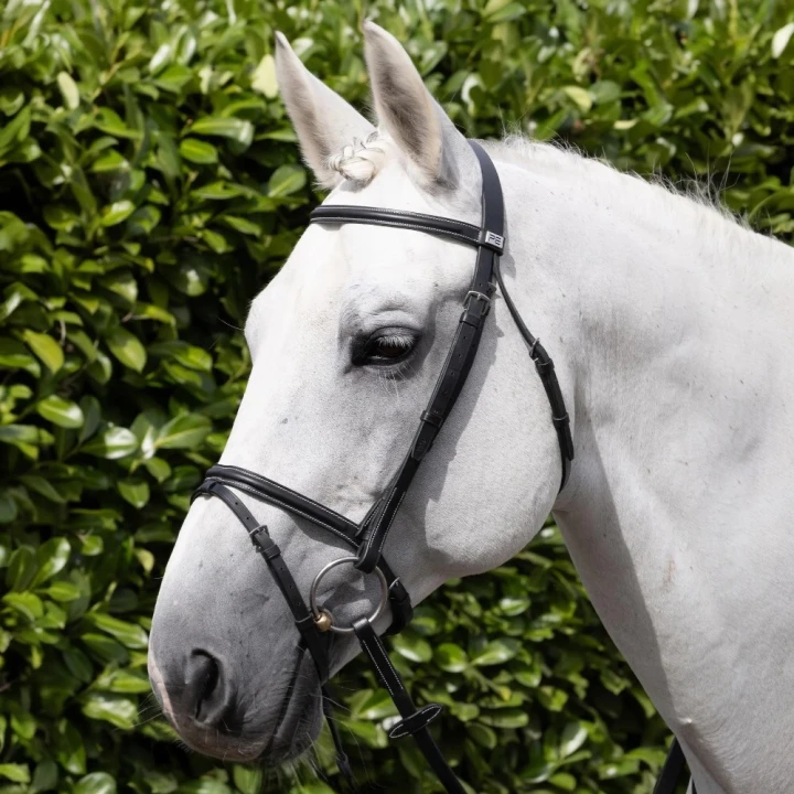 Raised-Browband-for-Raised-jumping-bridle-black-2_1600x.png