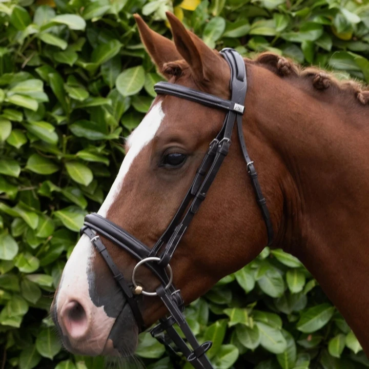 Pro-Elevator-Padded-Browband-Dark-Havana-2_1600x (1).png