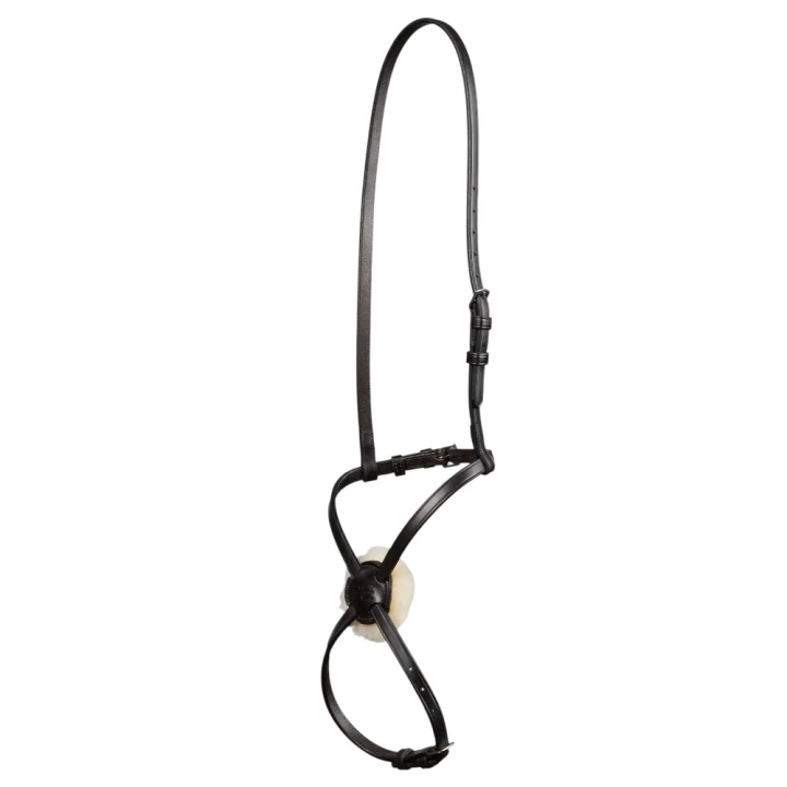 Grackle-Noseband-For-Racing-Dark-havana-1_719cd9a6-d05f-4435-917b-da00f63b12b8_1600x.jpg