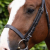 Cavesson-Noseband-for-Racing-dark-havana-2_1600x.png