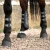 Air-velox-single-locking-brushing-boots-black-6_1600x.webp