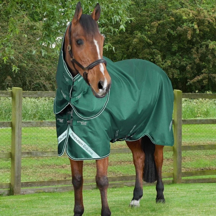 stratus-600-series-100-turnout-rug-green-1_4113f8f6-a621-4ba5-a96f-0650f91e95af_1600x.jpg