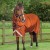 stratus-600-series-200-turnout-rug-BurntOrange-1_0e566d5b-5e3b-4a7e-bd5c-9de00ef0366c_1600x.jpg