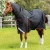 Buster-250-Turnout-Rug-Black-1_abe27883-27c7-4a03-9e3f-b1b232655795-691158-783760_1600x.webp