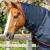 Buster-250-Turnout-Rug-Navy-2_1600x.webp
