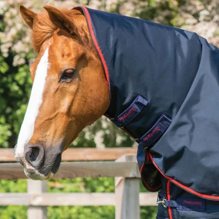 Buster-250-Turnout-Rug-Navy-2_1600x.webp