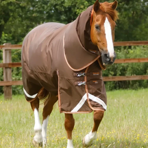 Titan-300-Turnout-Rug-Brown-1_1600x.webp