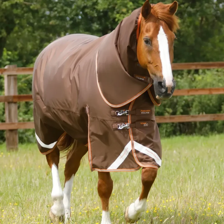 Titan-300-Turnout-Rug-Brown-1_1600x.webp