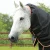 Titan-300-Turnout-Rug-Black-3-742201_1600x.webp