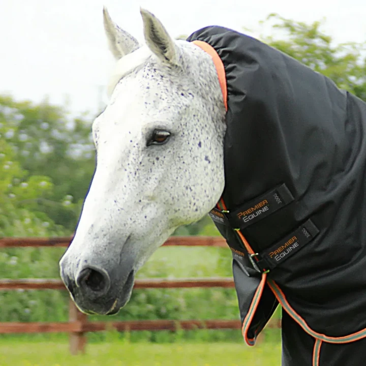 Titan-300-Turnout-Rug-Black-3-742201_1600x.webp