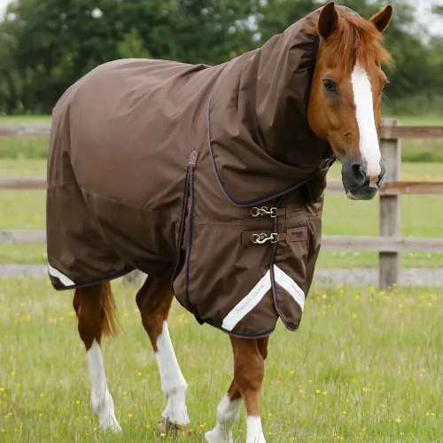 Buster-400-Turnout-Rug-Brown-1_1600x.webp