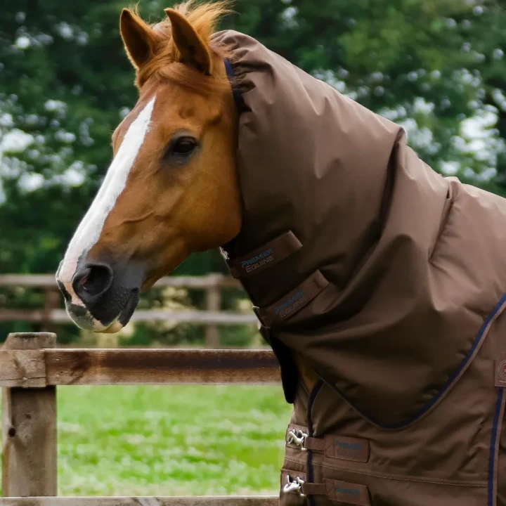 Buster-400-Turnout-Rug-Brown-3-663193_1600x.webp