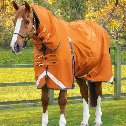 buster-storm-400g-combo-turnout-rug-with-classic-neck-1-Autumn-543848_1600x.webp