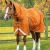 buster-storm-400g-combo-turnout-rug-with-classic-neck-1-Autumn-543848_1600x.webp