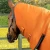 buster-storm-400g-combo-turnout-rug-with-classic-neck-6-Autumn-434792_1600x.webp